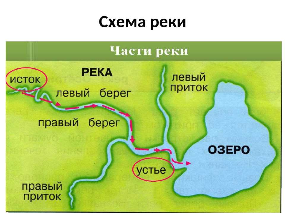Болва