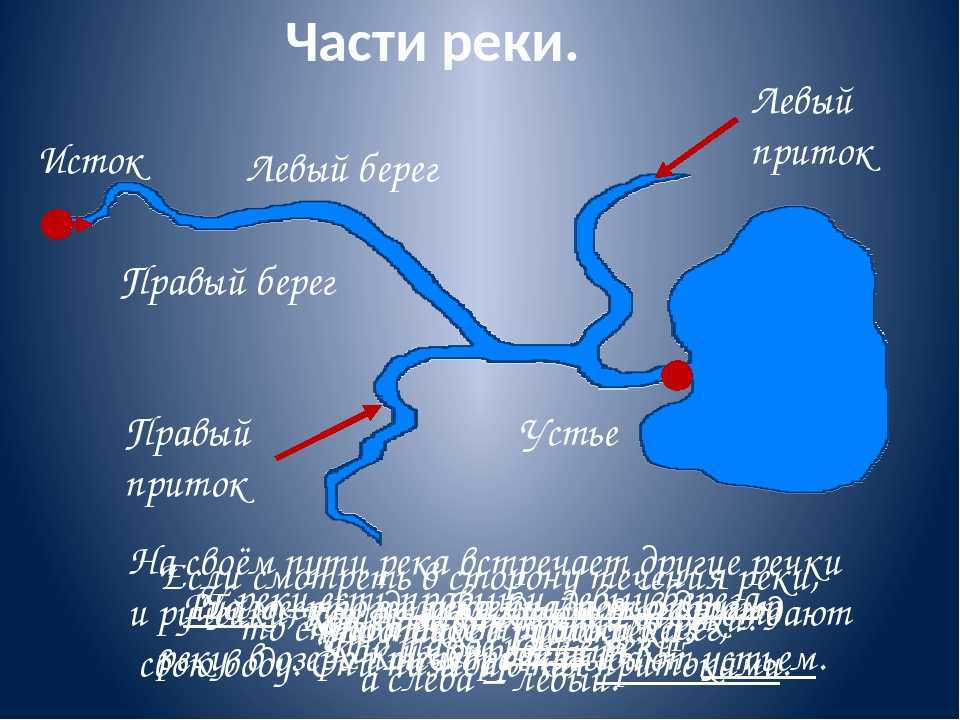 Рисунок схема река вытекает из озера и впадает