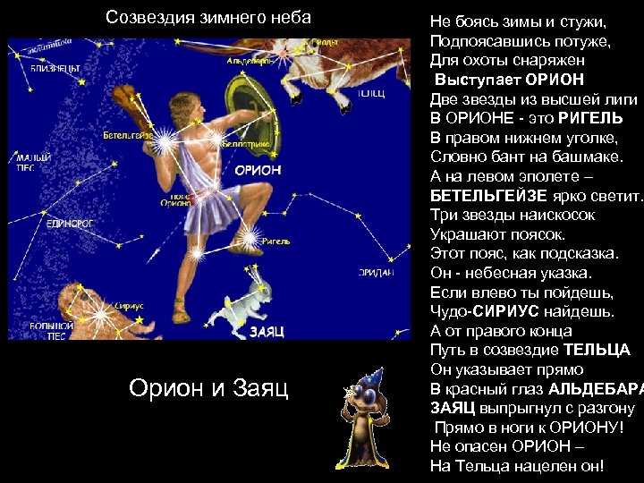 Зимние созвездия