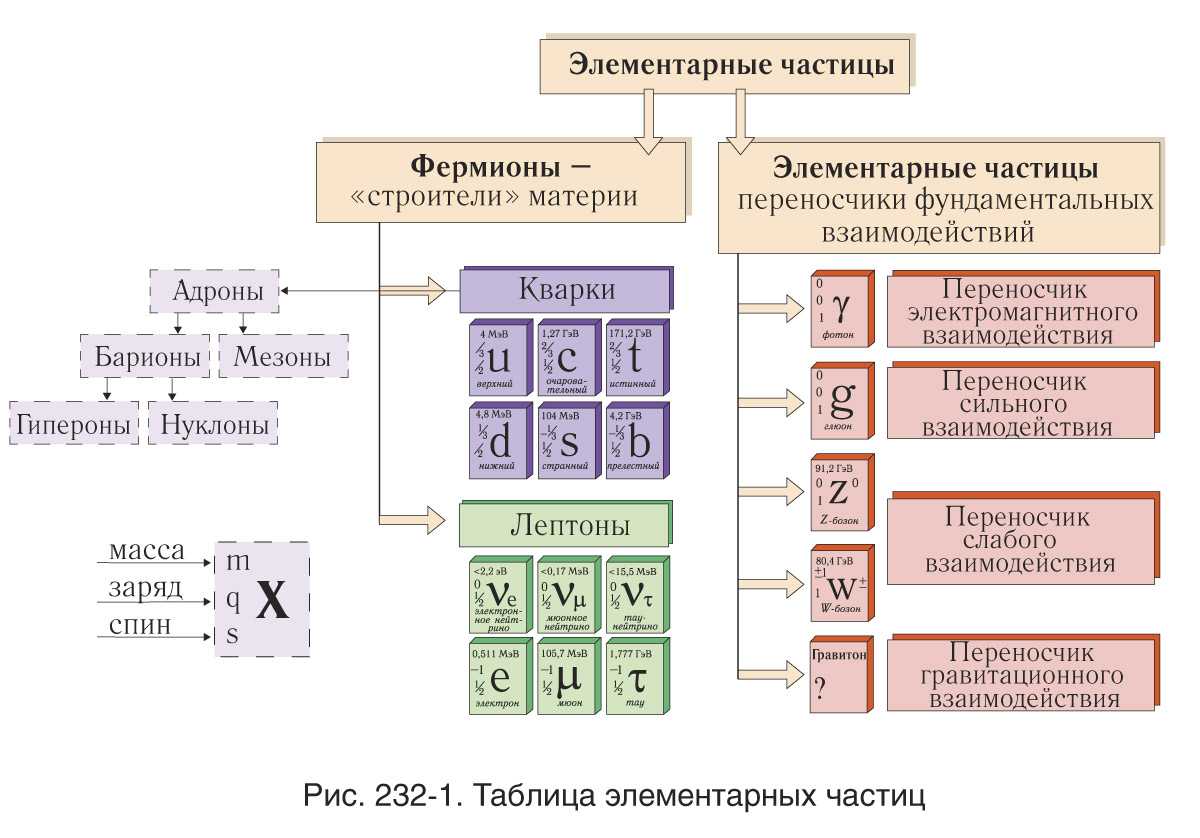 A. элементарные частицы — physbook