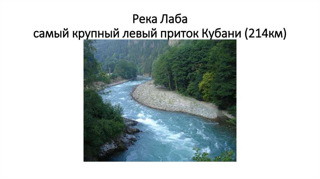 Река белая (приток кубани)