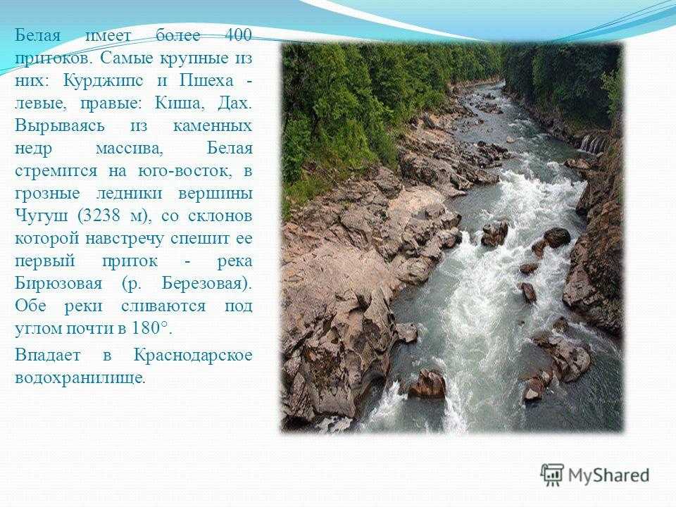 Река белая описание 4 класс. Белая приток Кубани реки Краснодарского края. Река белая презентация. Описание реки белой. Притоки реки белой.