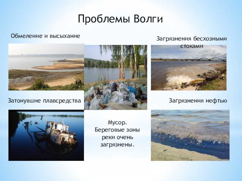 Конда: фото, характер русла и особенности водного режима. где начинается и куда течет река конда?