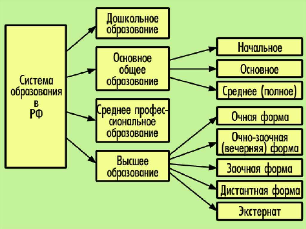 § 14. государство и общество стран западной европы в xvi—xvii вв.