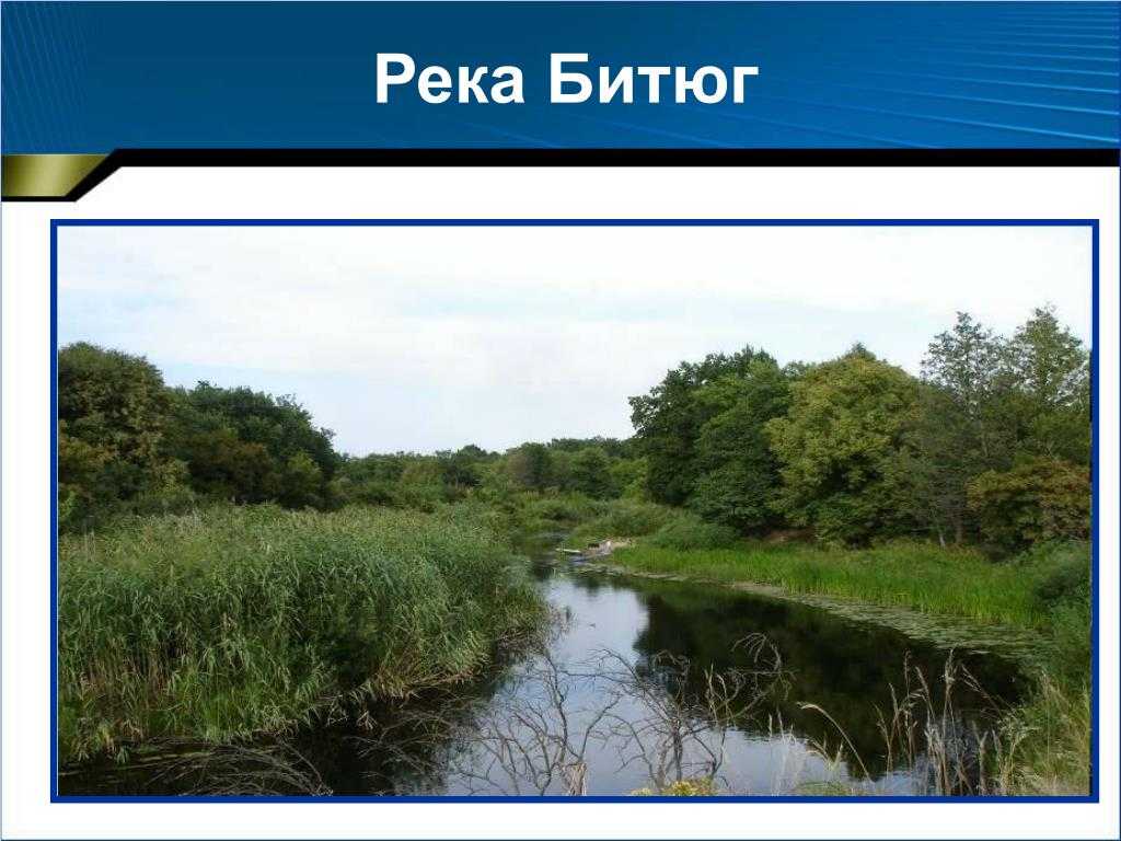 Река Битюг Фото