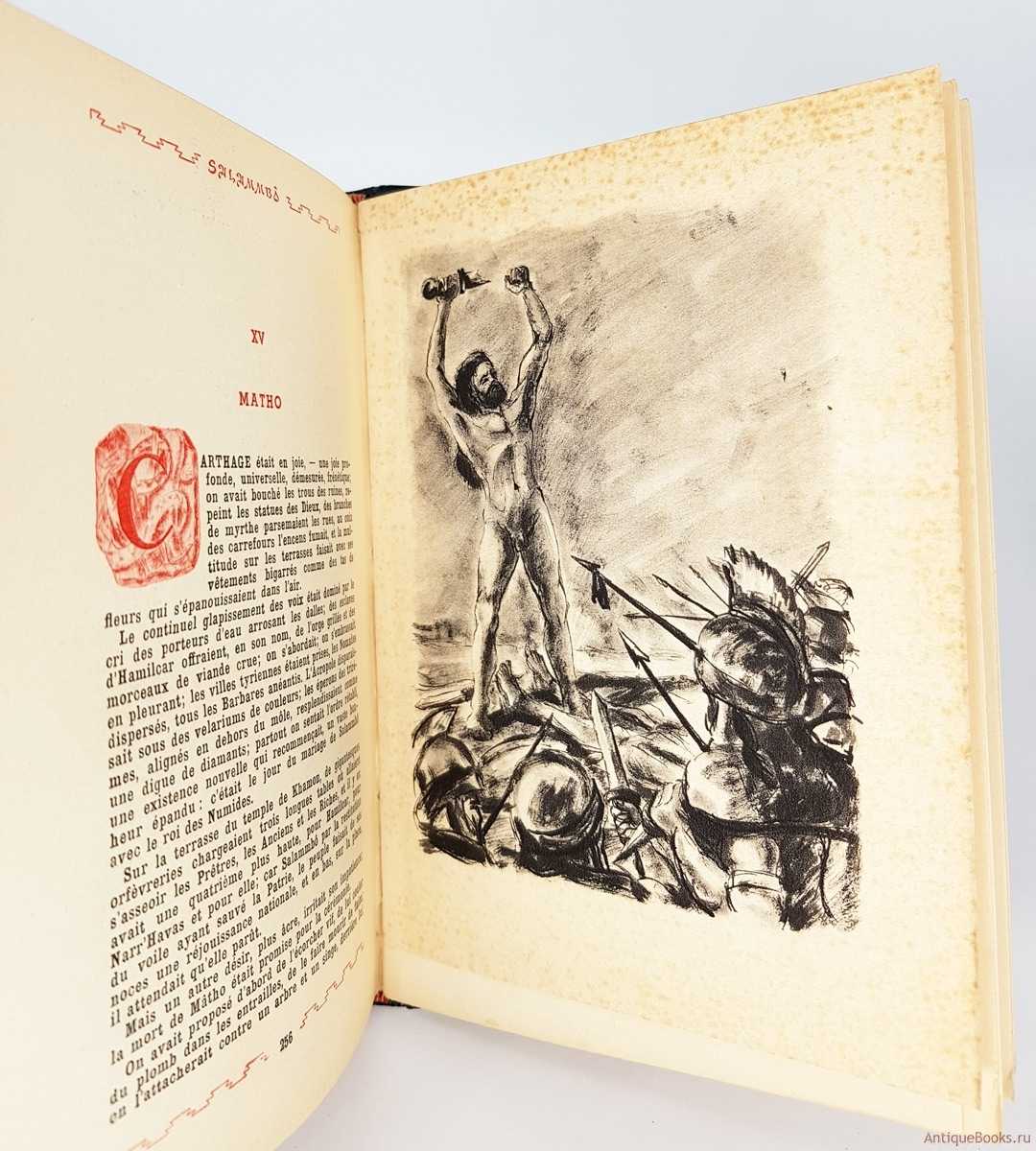 Краткие содержания произведений — гюстав флобер — саламбо