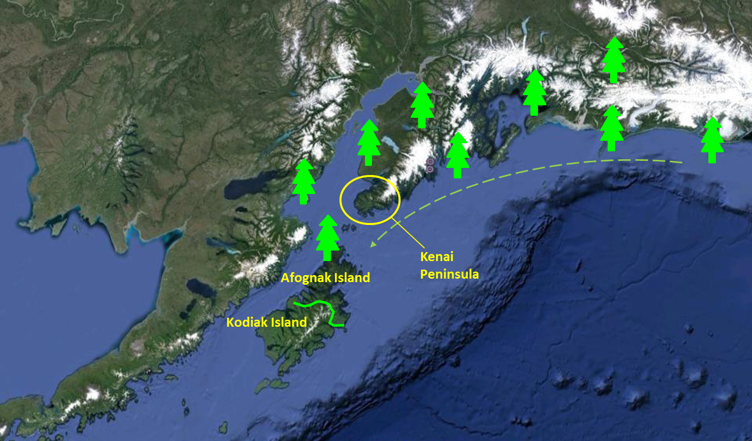 Архипелаг аляска. Остров Кадьяк Аляска. Аляска остров Афогнак. Кадьякский архипелаг. Остров Кадьяк на карте.