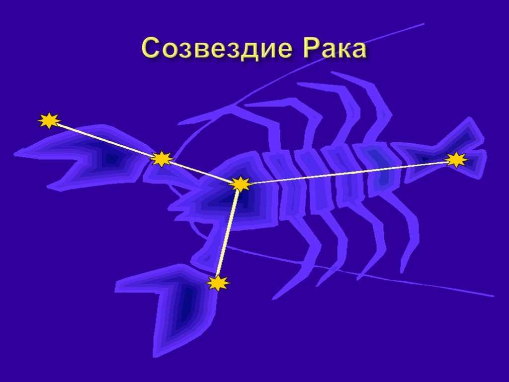 Созвездия северного полушария. как найти - домовёнок-арт