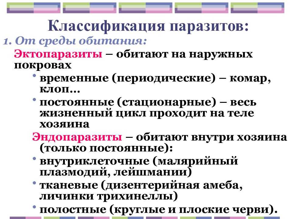 Жизненные циклы паразитов: виды, классификация, смена хозяев | признаки, лечение и диагностика вгкб № 2