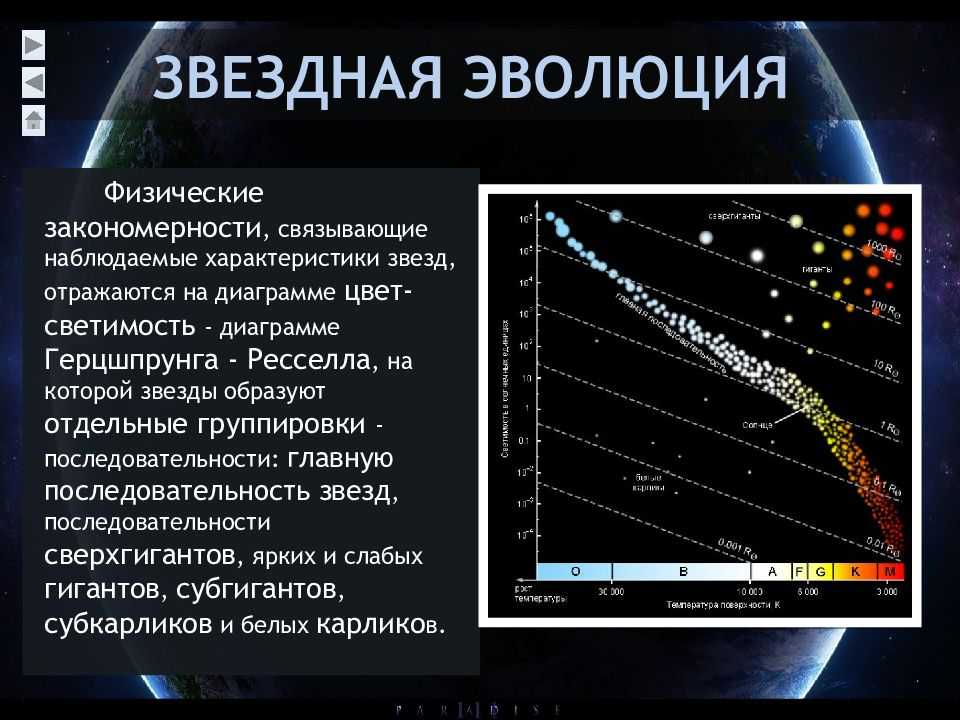 Размеры звезд во вселенной