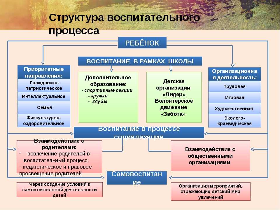 А) опыт поведения школьников