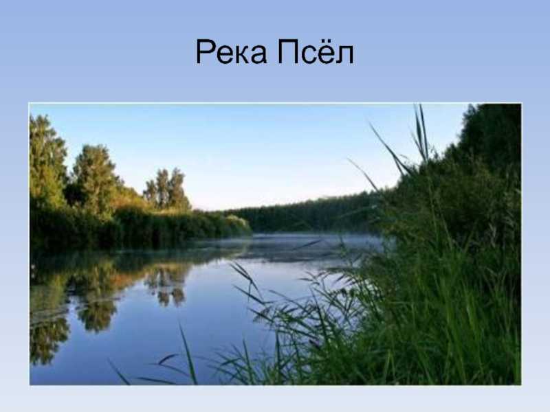 Какая рыба водится на псле?