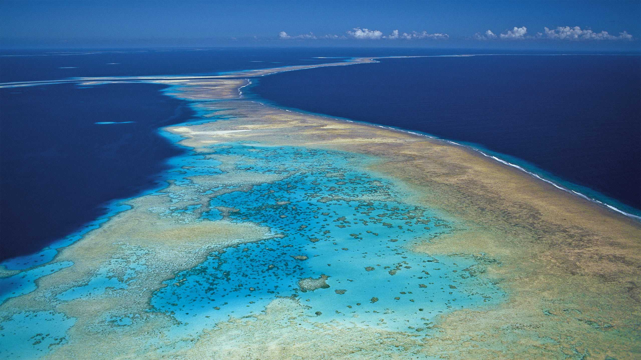 The first island. Атолл в тихом океане. Атоллы Австралии. Мальдивы Лагуна риф. Marovo Lagoon Соломоновы острова.