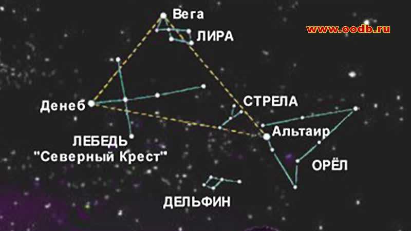 Неподвижные звезды в астрологии. лев