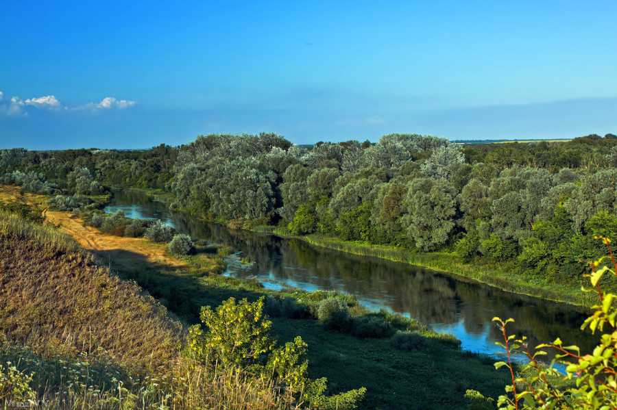Река ворона.. история реки вороны. с незапамятных времён человек селился по берегам рек, где было легче прокормиться. реки изобиловали рыбой, леса-дичью, - презентация