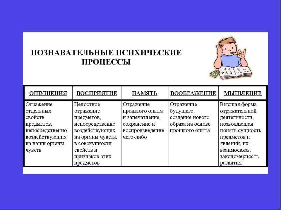 Память человека виды и процессы - таблица