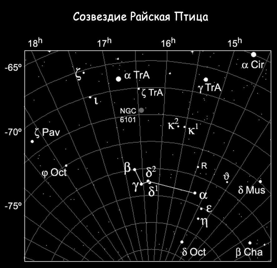 Мелкое Южное околополярное созвездие с весьма привлекательным названием, открытые которого датируют 16-м столетием, носит название созвездие Райская Птица