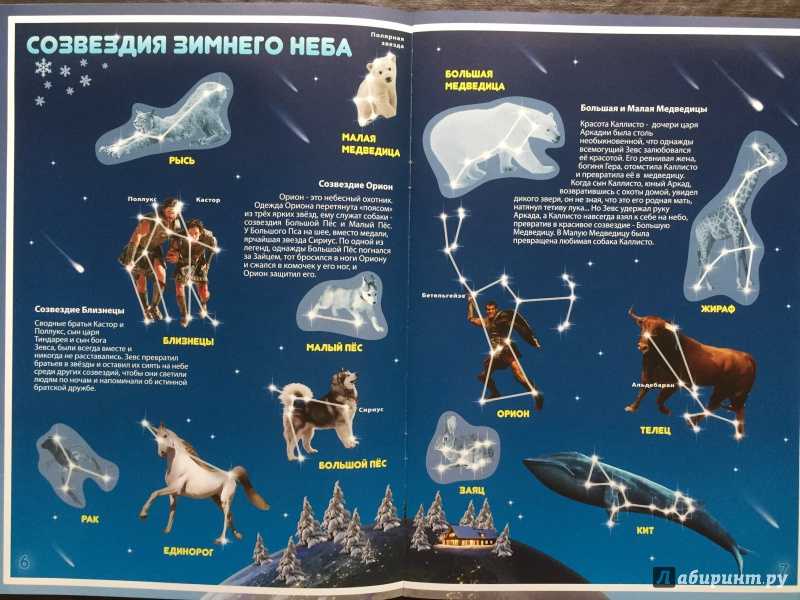 Какие созвездия и звезды видны в декабре — список, карты и фото звездного неба – sunplanets.info