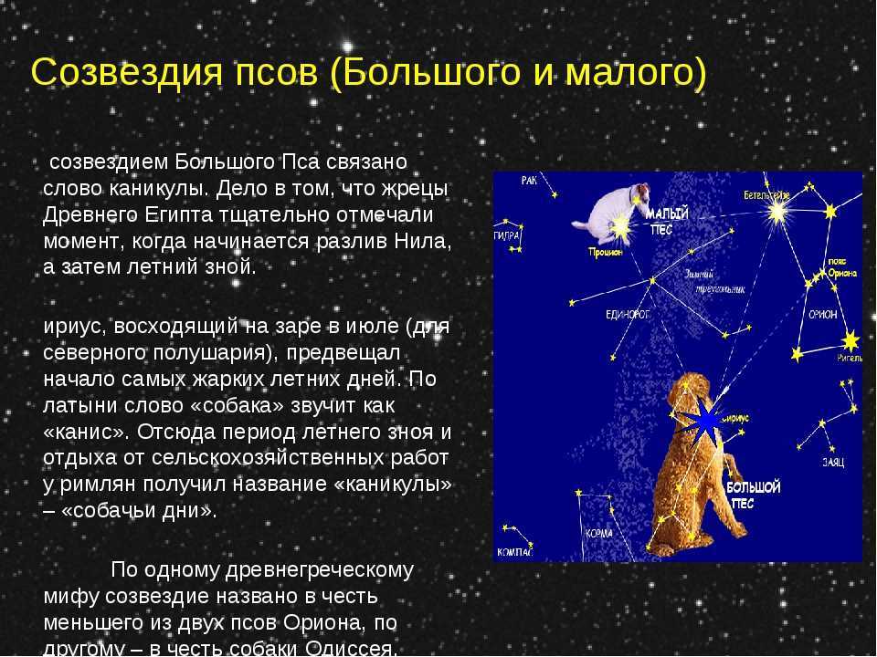 The nihal starseed: the mystical indigos