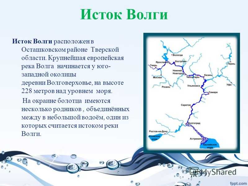 Куда впадает волга: в какое море, где находится устье реки, каспийское, где заканчивается, карта и фото