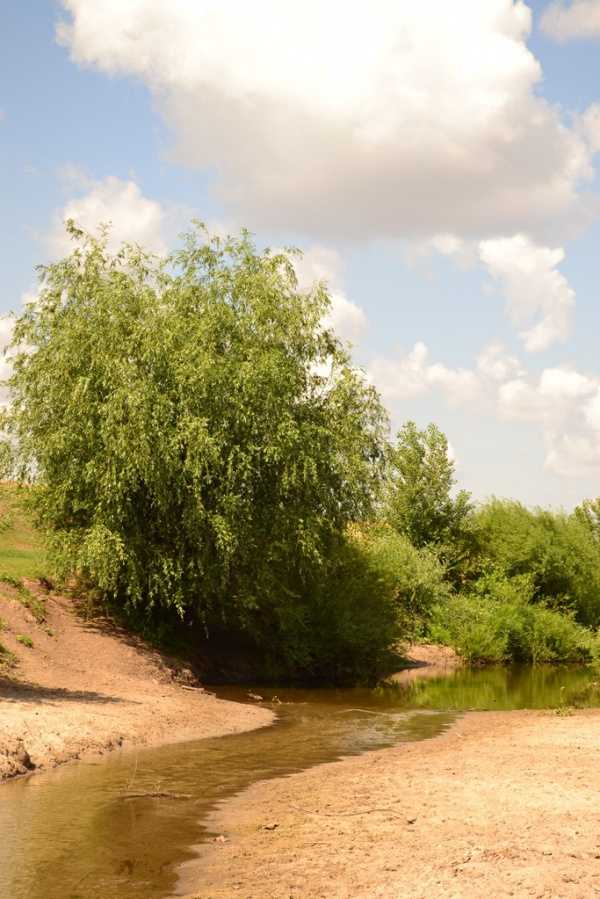 Река чир » отдых на природе. места, статьи, события.