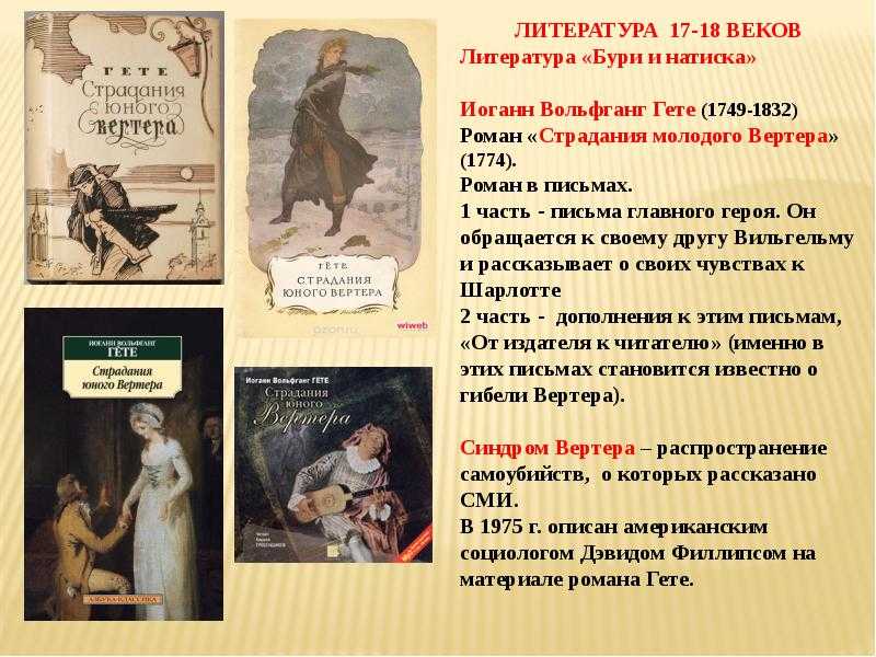 «страдания юного вертера», анализ романа гете