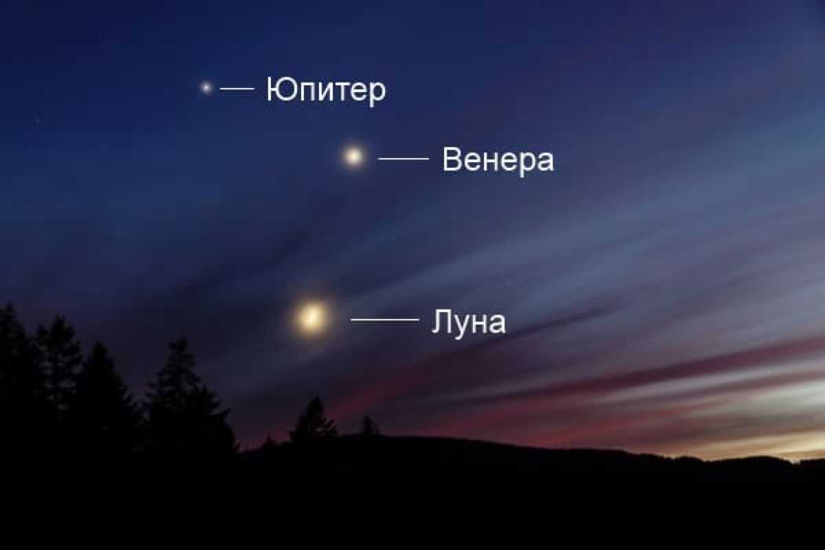 Что такое звёзды на небе и почему они светятся, что такое звезда: как рождаются и угасают звезды, что такое звезда в космосе