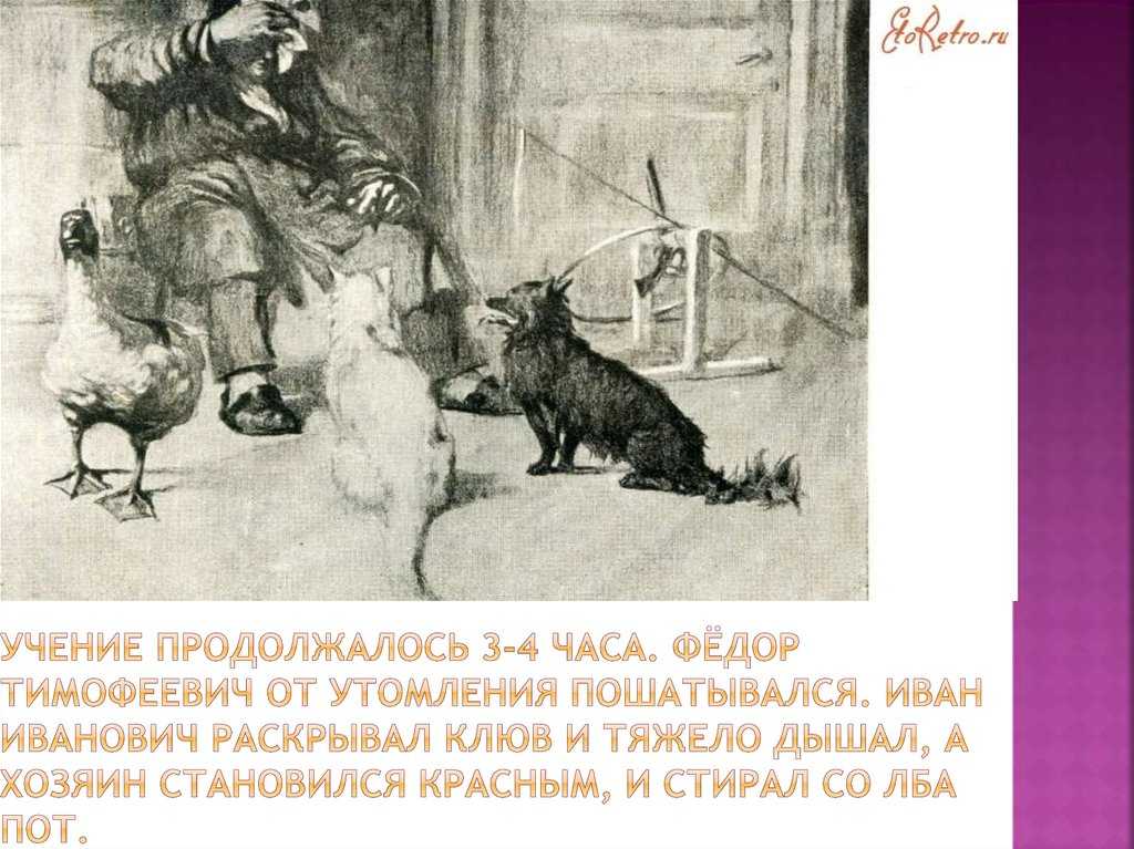 Краткое содержание чехов каштанка для читательского дневника, читать краткий пересказ онлайн