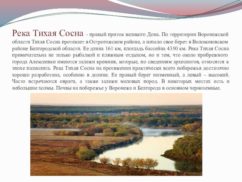 Река сосна (быстрая сосна): рыбалка и сплав, глубина, притоки, елец и другие города, куда впадает