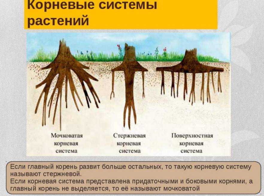 Методическое руководство по курсовому проектированию | контент-платформа pandia.ru