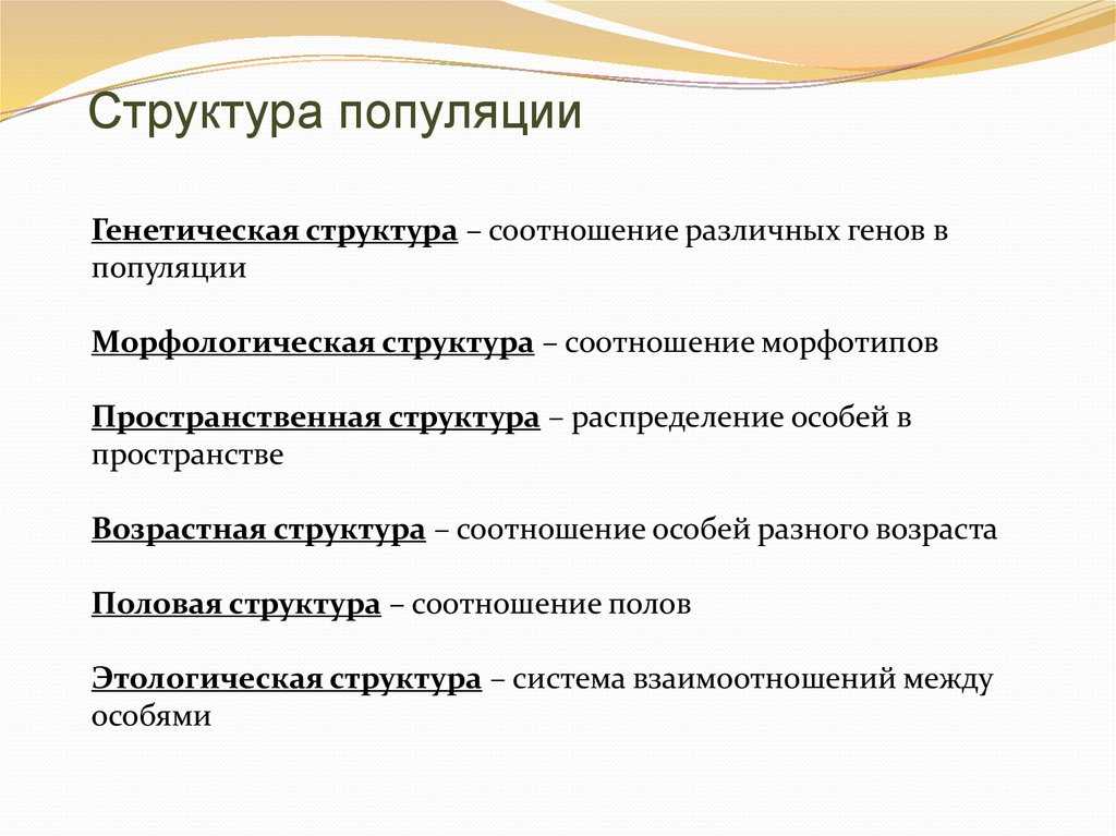 Путешествие потребителя: новая модель принятия решений о покупке | iteam