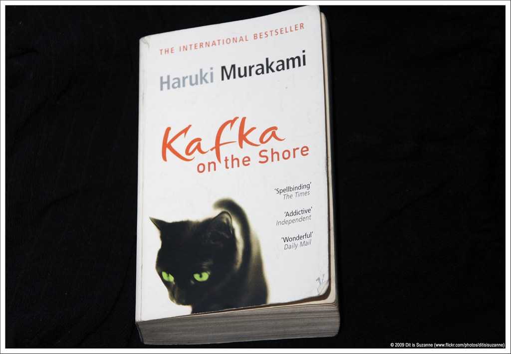 Смысл книги процесс франца кафки
