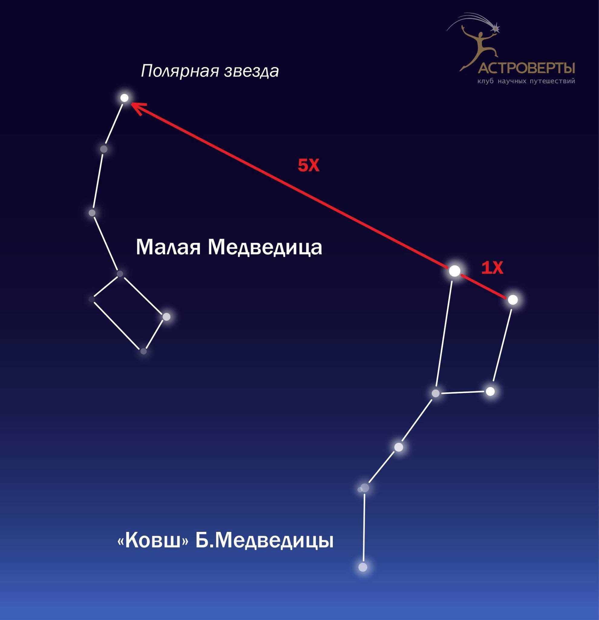 Созвездие малая медведица и его достопримечательности