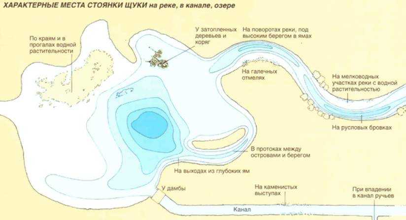 Гладышевское озеро, ленинградская область. рыбалка, карта, отзывы, глубины, погода, фото, видео, как доехать, гостиницы — туристер.ру
