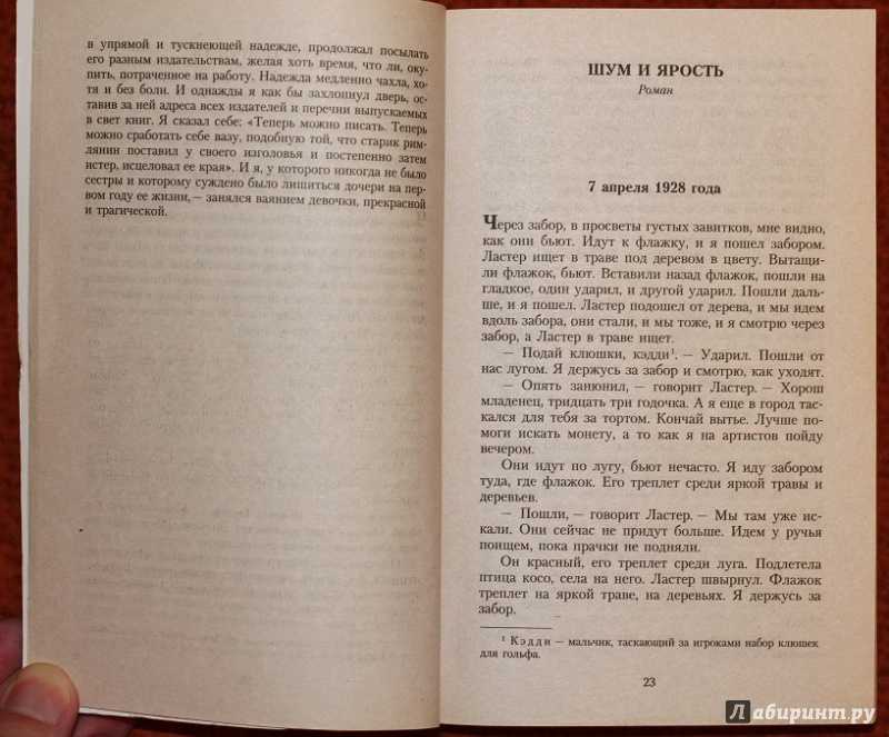 Разбор смысла романа "звук и ярость" фолкнера | какой смысл