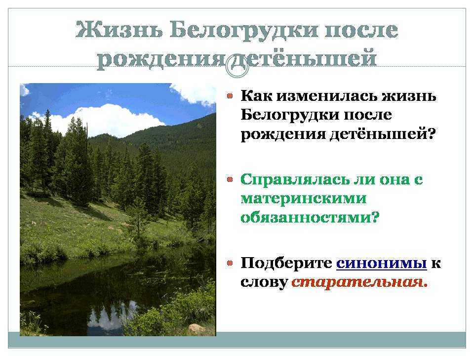 Краткое содержание астафьев белогрудка