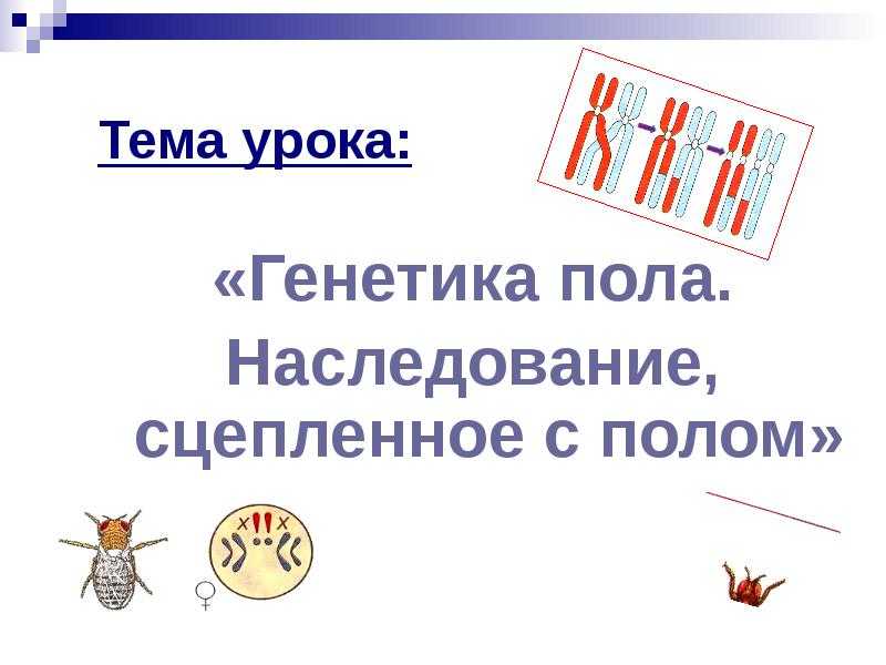 Основные генетические понятия. закономерности наследственности. генетика человека.