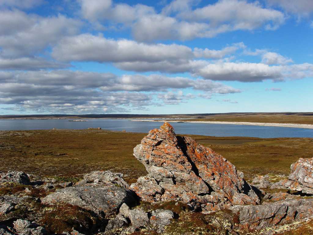 Печора (река) — россия — планета земля