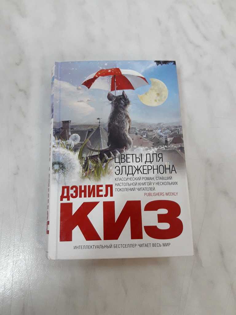 «цветы для элджернона» краткое содержание романа дэниела киза