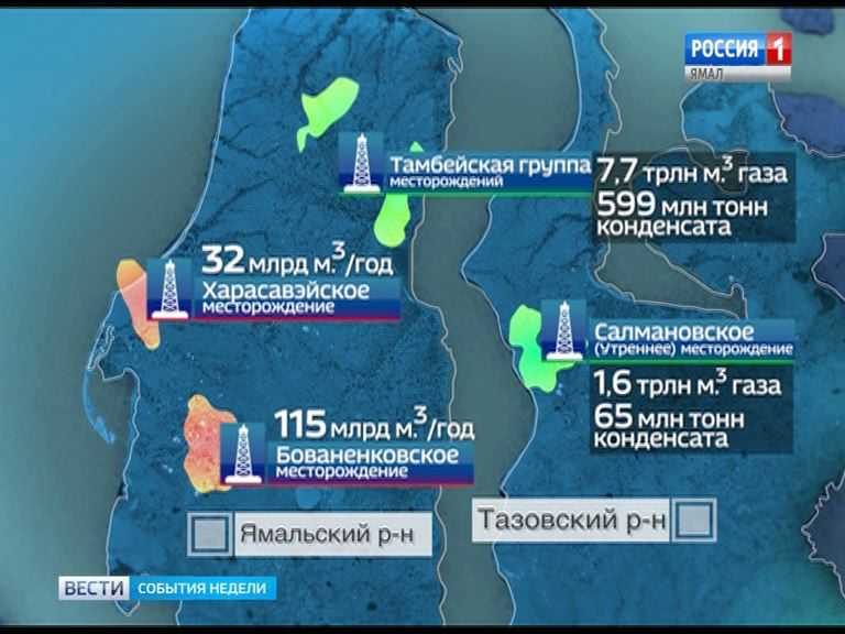 Арктический нацпарк, богатейшие месторождения и отдаленные фактории: чем интересен ямальский гыдан