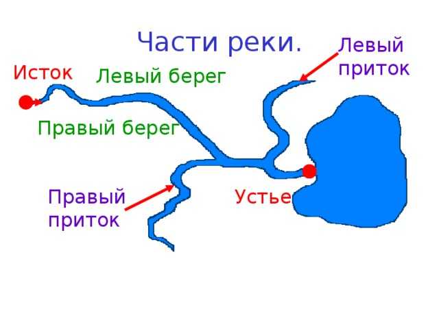 Устье реки рисунок