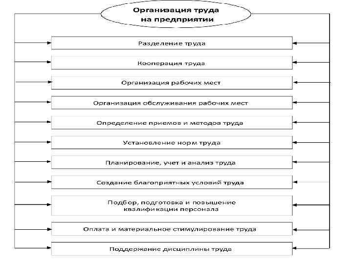 Отдел организации труда и заработной платы. классификатор профессий. должностные обязанности.