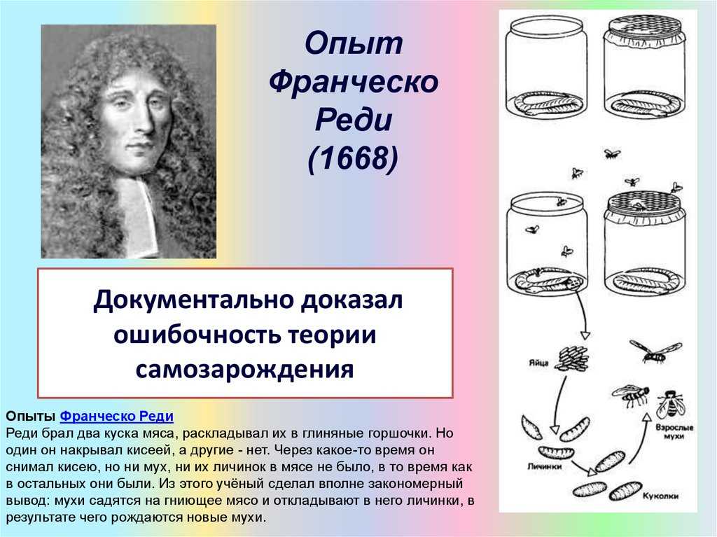 Реди, франческо — творениявики, энциклопедия науки о сотворении