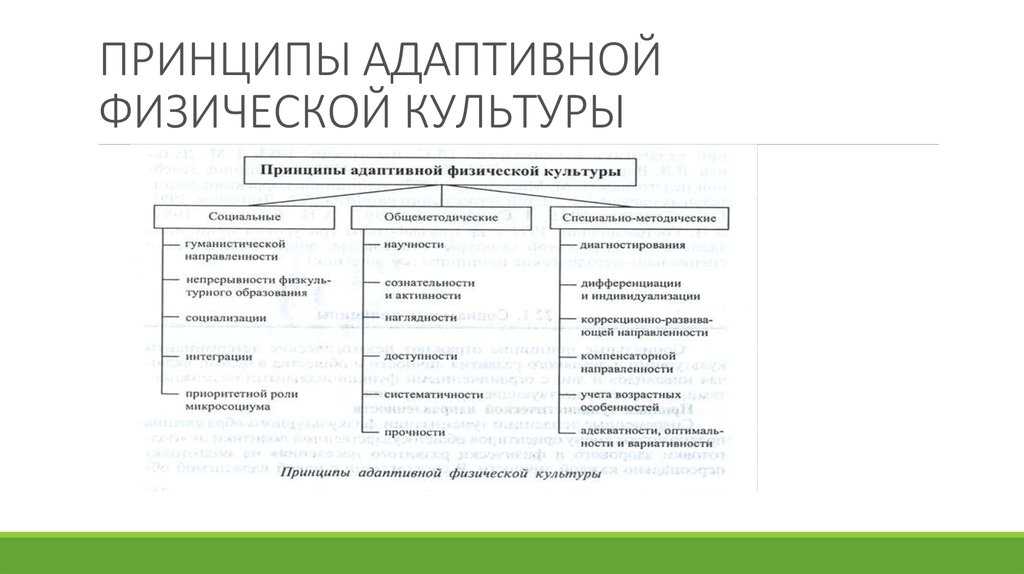 Реферат на тему: ценностные аспекты физической культуры обучающихся с овз и инвалидов