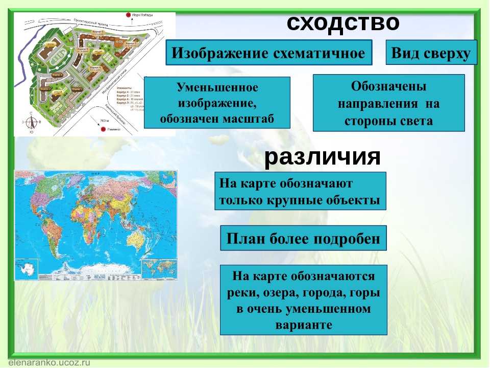 Чем отличается план. План местности и географическая карта различия. Сходства и различия плана и карты. Чем отличается план местности от географической карты. Сходства плана местности и географической карты.