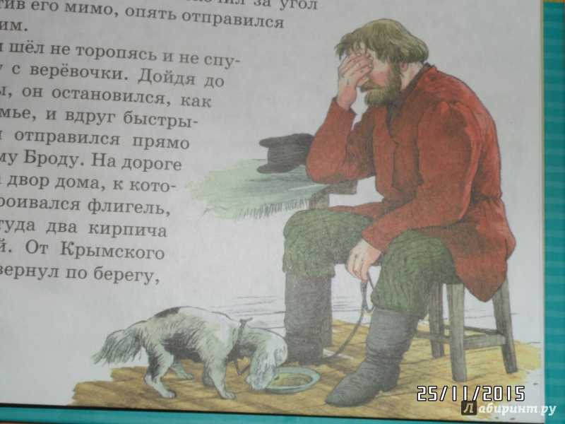Краткое содержание «заколдованное место»