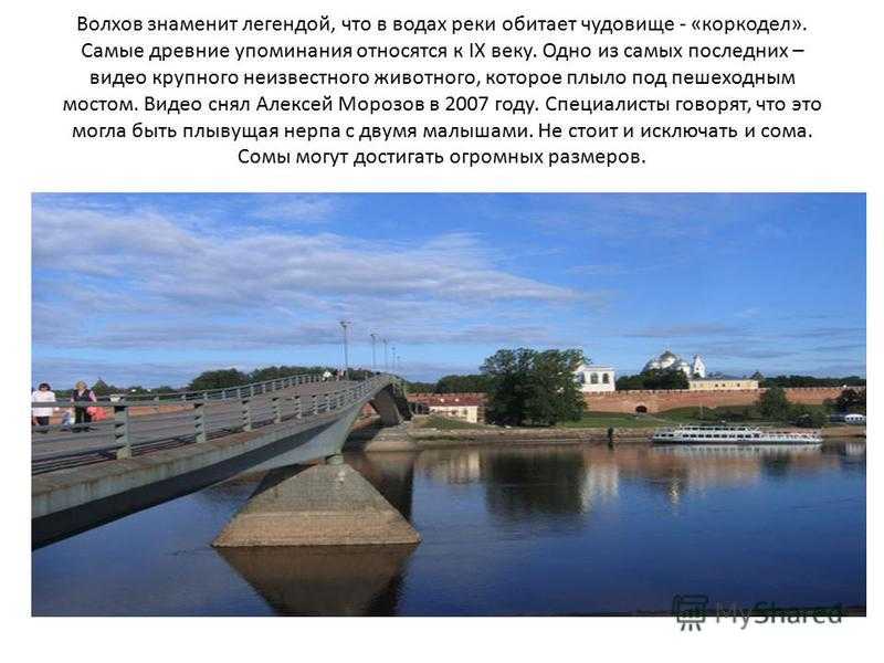 Рыбалка на волхове с берега: лучшие места для ловли, какие виды рыб водятся
