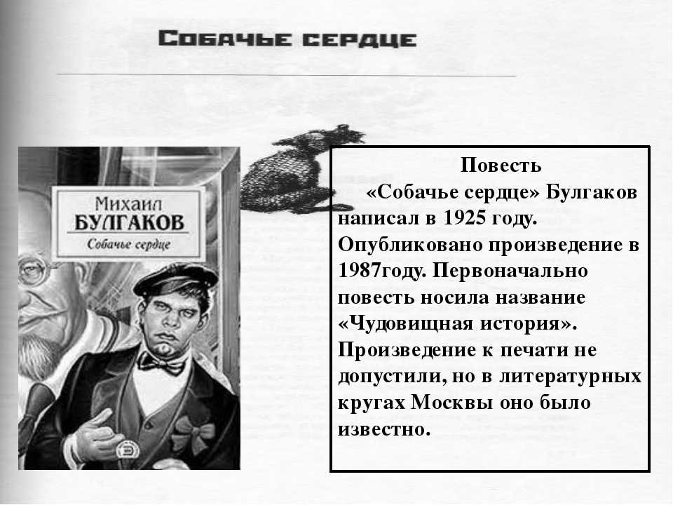 Собачье сердце 7 глава пересказ. Собачье сердце краткое содержание. Собачье сердце книга краткое содержание.