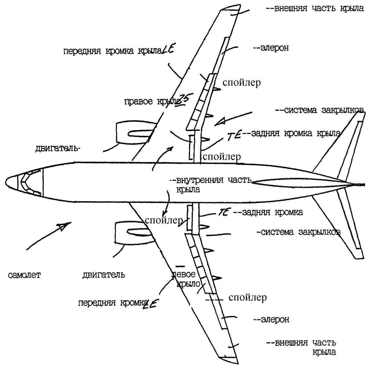Основные геометрические и аэродинамические характеристики крыла конечного размаха. самый лучший профиль для сла свойства s образный профиль крыла