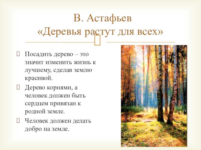 Краткое содержание деревья растут для всех астафьева за 2 минуты пересказ сюжета